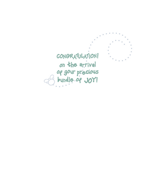 Baby Bugs, CONGRATULATION Card